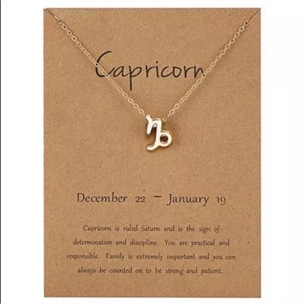 3/$30 ♑️ Capricorn Zodiac Sign Necklace